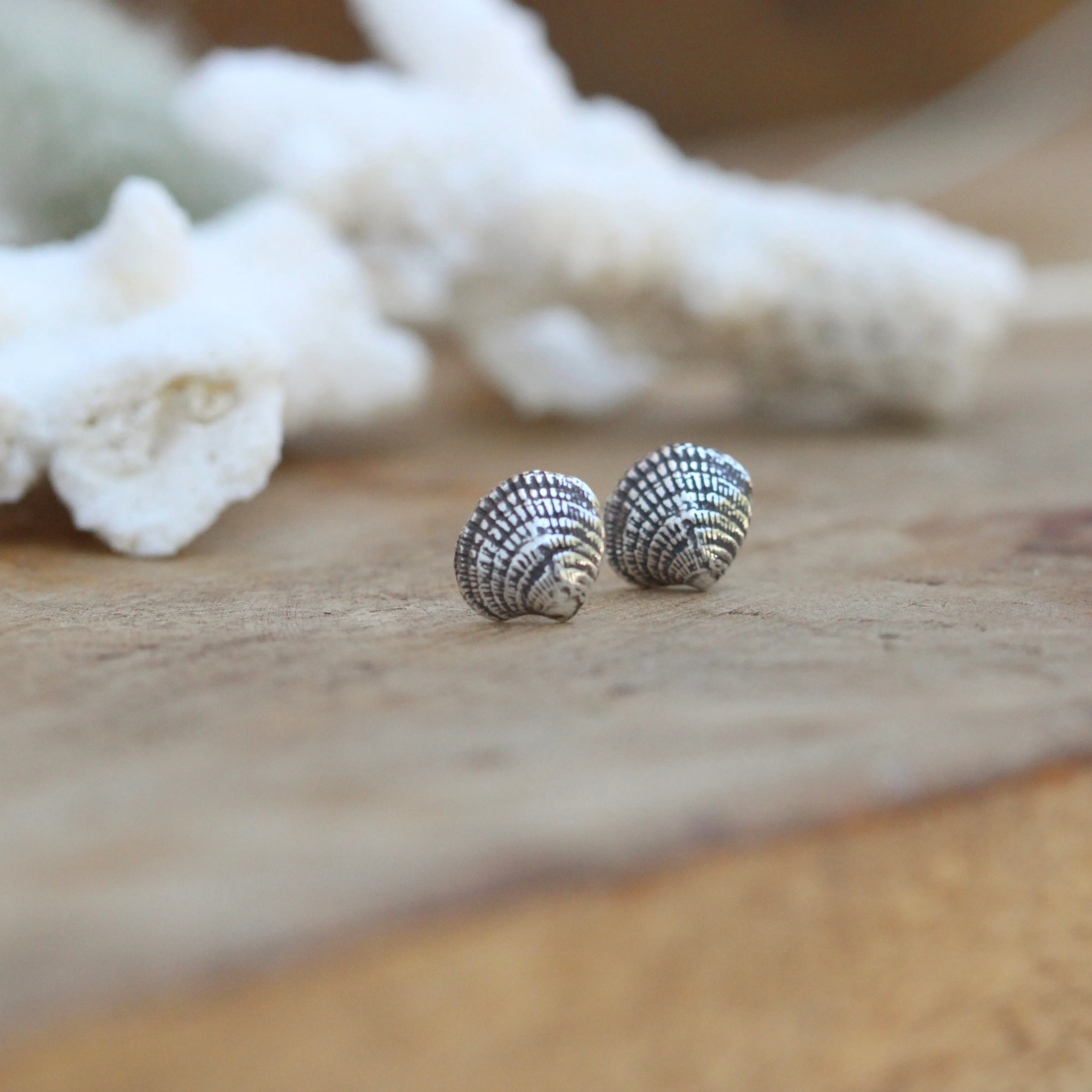 Beach Comber Shell sterling silver post earrings