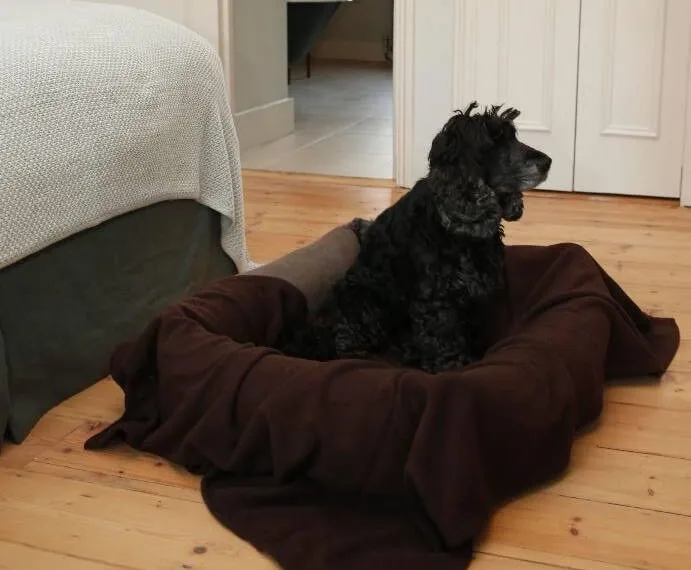 Copper Pet Bed